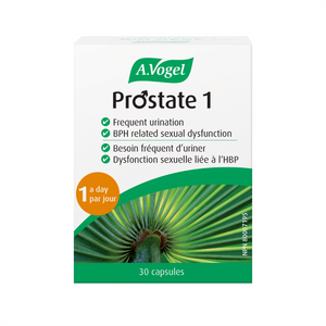 A. Vogel - Prostate 1