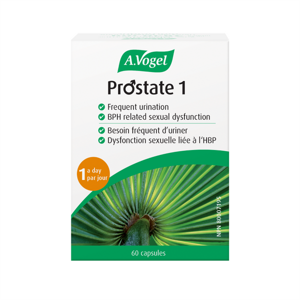 A. Vogel - Prostate 1