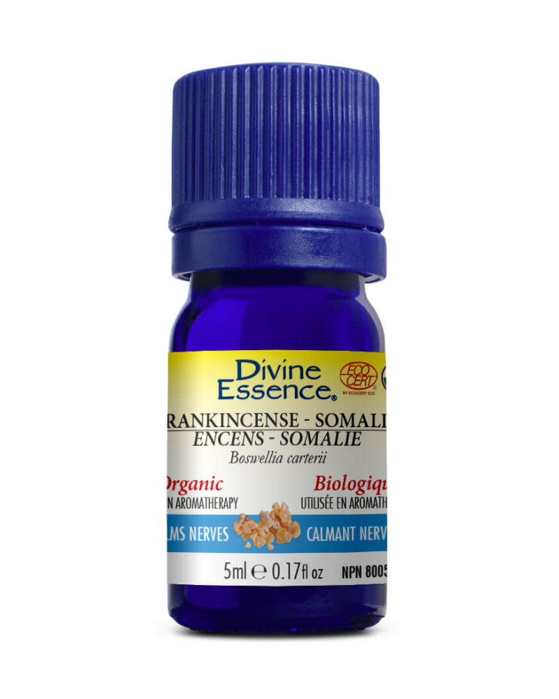 Frankincense essential oil is used in aromatherapy as nerve calming and to help relieve cold and cough symptoms.