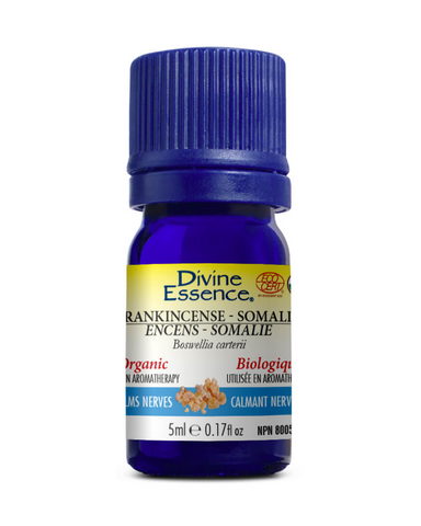 Frankincense essential oil is used in aromatherapy as nerve calming and to help relieve cold and cough symptoms.