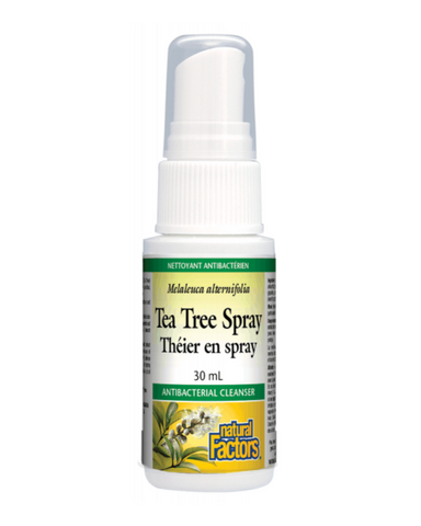 Natural Factors Tea Tree Spray is a natural antibacterial cleanser in a convenient spray bottle. A quick spritz works as a topical first-aid treatment to disinfect cuts and scrapes. Tea tree oil is also used to treat head lice and nits, relieve acne and eczema, and as a natural insect repellant.