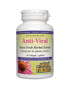 Natural Factors - ECHINAMIDE® Anti-Viral Potent Fresh Herbal Extract - 60 Softgels