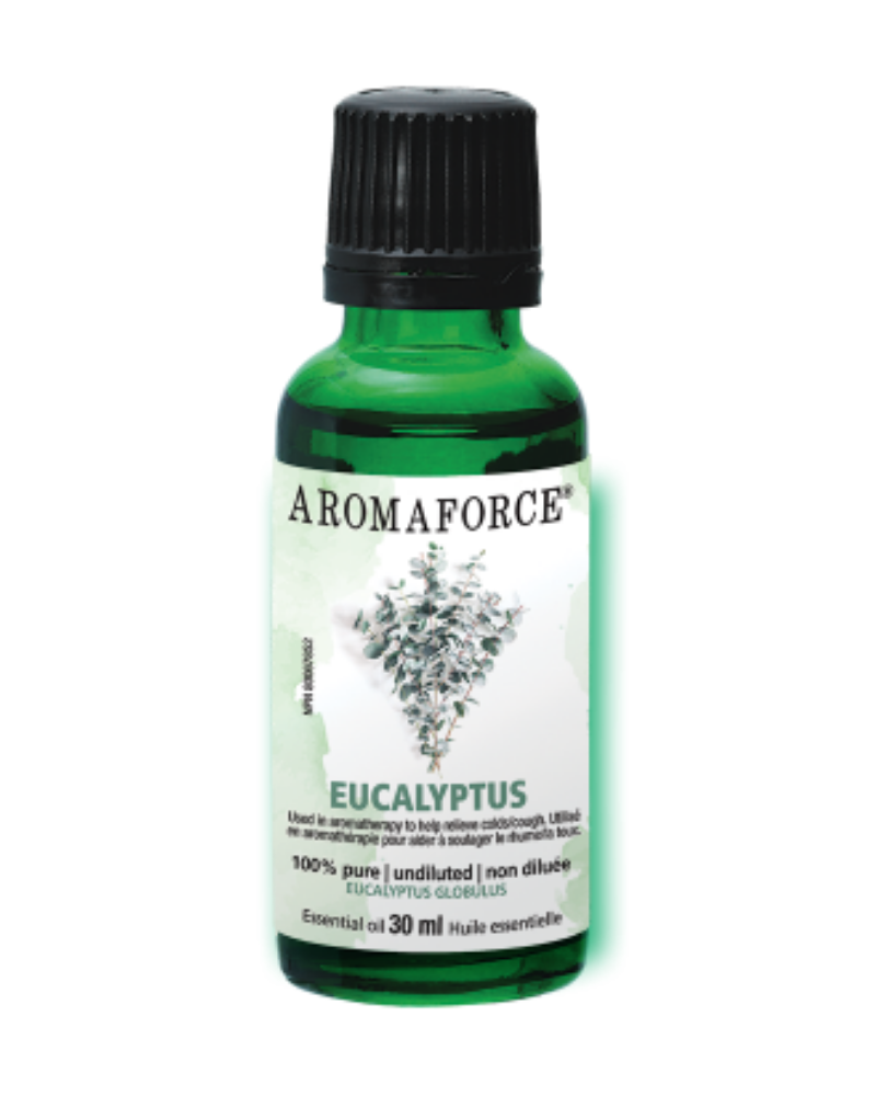 Benefits: Used in aromatherapy to help relieve colds/cough.Invigorating fragrance, with a prominent hint of camphor.