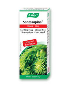 Used in herbal medicine to treat coughs and symptoms of respiratory catarrh (mucus secretion).