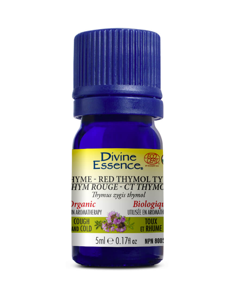 Thyme - Red essential oil is used in aromatherapy to help relieve cold and cough as well as a nerve tonic.