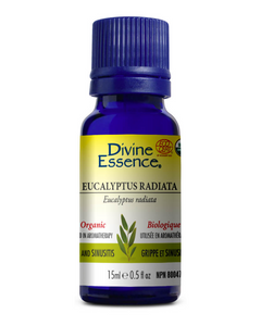 Eucalyptus Radiata essential oil is used in aromatherapy to relieve symptoms of flu, rhinitis, sinusitis, bronchitis and otitis.