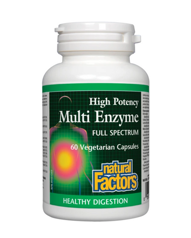 Natural Factors - High Potency Multi Enzyme