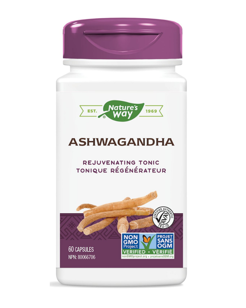 Traditionally used in Ayurveda: as a sleep aid, for memory enhancement, to balance aggravated Vata (nervine tonic, sedative), to relieve general debility, especially during convalescence or old age and as Rasayana (rejuvenating tonic). Ashwagandha extract is standardized to 4% withanolides.