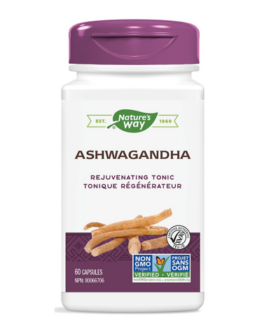 Traditionally used in Ayurveda: as a sleep aid, for memory enhancement, to balance aggravated Vata (nervine tonic, sedative), to relieve general debility, especially during convalescence or old age and as Rasayana (rejuvenating tonic). Ashwagandha extract is standardized to 4% withanolides.