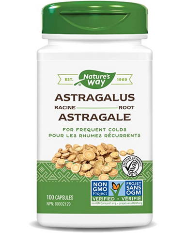 Astragalus is considered to have a normalizing effect on body functions. It is harvested wild in Northern China and Mongolia. Early Chinese writings refer to Astragalus as “The Superior Tonic”. It ranks as one of China's most important herbal medicines.  Astragalus is traditionally used to tonify lungs and for frequent colds.