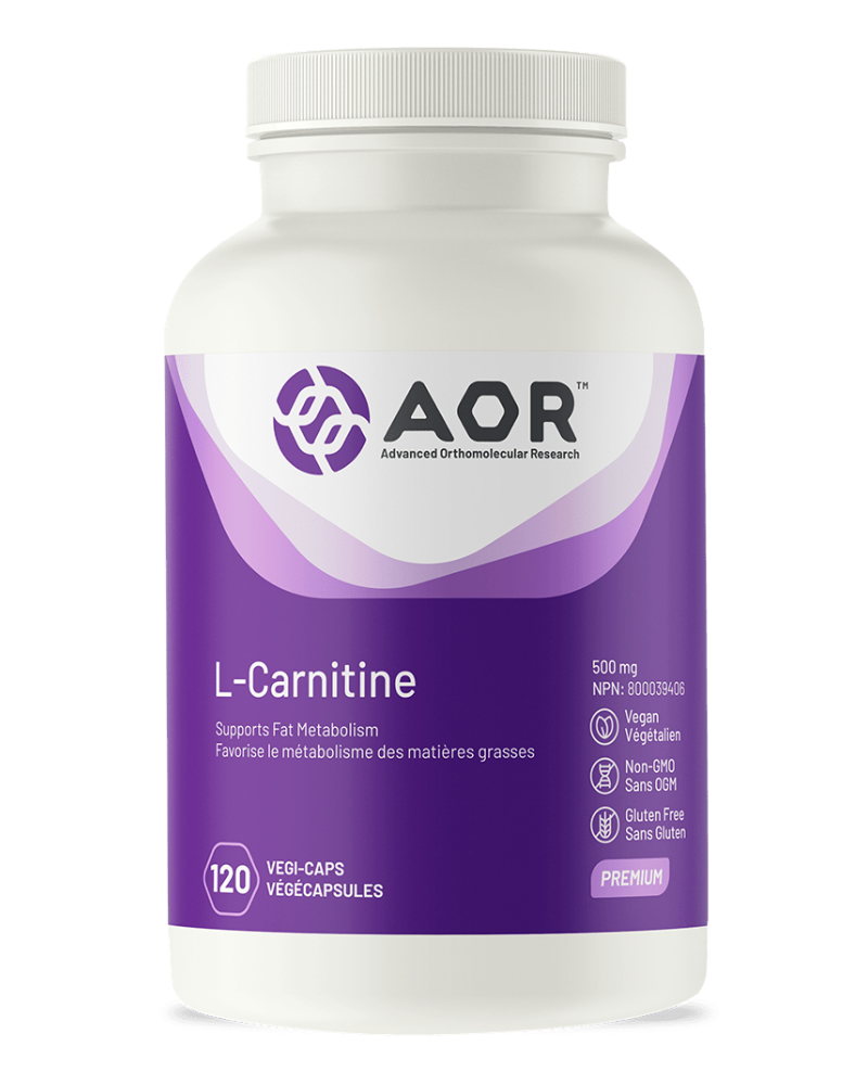 L-Carnitine is an amino acid needed for fat burning, energy production and muscle recovery. It is synthesized by the body from the essential amino acids lysine and methionine, and can also be obtained from red meat. For this reason, L-carnitine deficiency is quite common among vegetarians and even health-conscious people who simply avoid red meat.