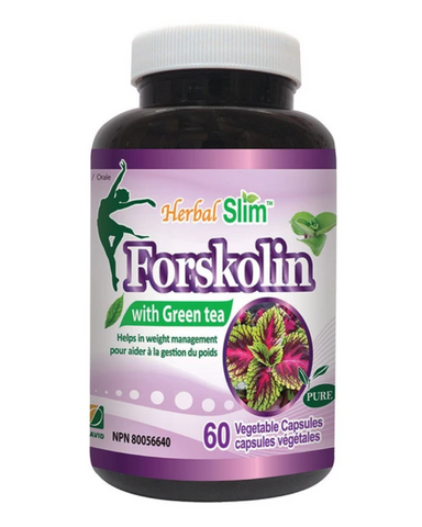 Forskolin is found in the roots of the plant Plectranthusbarbatus (Coleus forskohlii). This plant has been used sinceancient ti mes to treat heart disorders such as high blood pressure and chest pain(angina), as well as respiratory disorders such as asthma. Forskolin is one of the mostextensively studied consti tuents of the plant and has been used for several medicalstudies. When taken by mouth, forskolin is also used to treat allergies, skin conditi onssuch as eczema and psoriasis, obesity, painful menstr