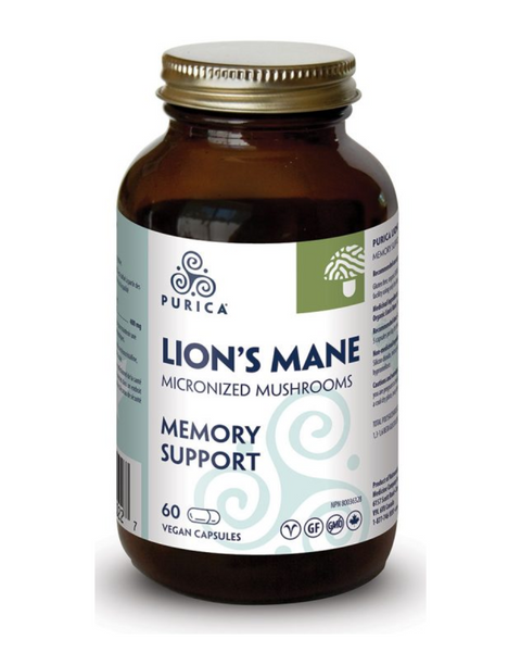 Recent studies confirm support of the digestive system by administration of Lion’s mane mushroom, but more promising is its ability to stimulate synthesis of nerve growth factor (NGF), which may help inhibit brain dysfunction and age-related loss of cognitive function.