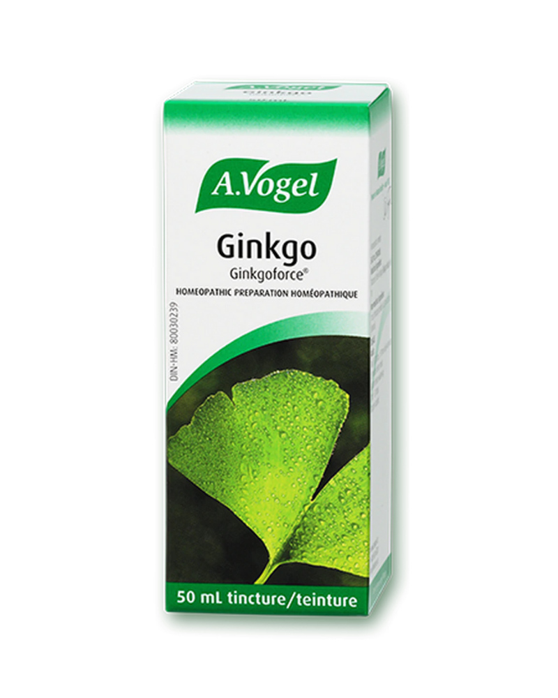 Ginkgo biloba is one of the oldest healthcare herbs known to man. Fresh green leaves from the Ginkgo biloba tree are gathered each spring to create A.Vogel’s fresh herb tincture.
