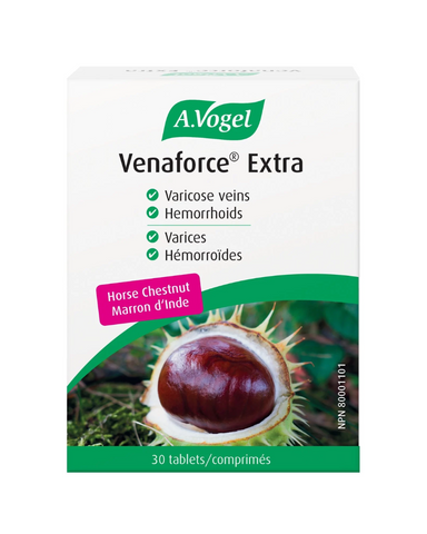 Used in Herbal Medicine to help treat chronic venous insufficiency and associated symptoms as well as varicose veins. Traditionally used to help treat hemorrhoids.